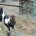 Poggio Fiorito * アッシジ
