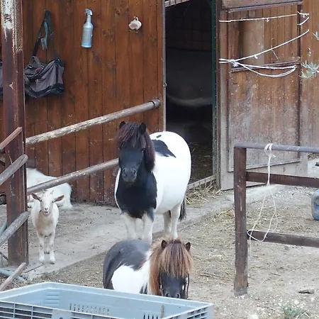 Poggio Fiorito *